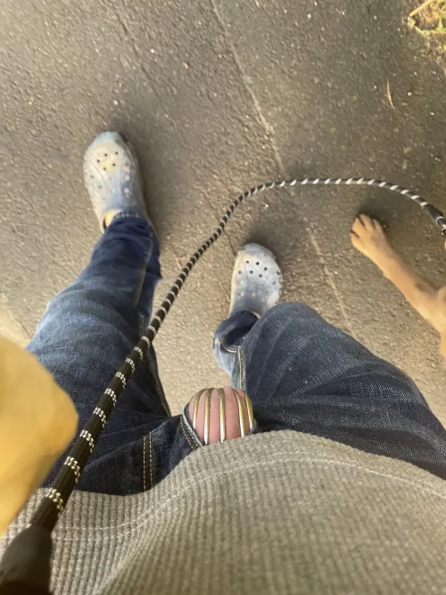 Another day walking the dog