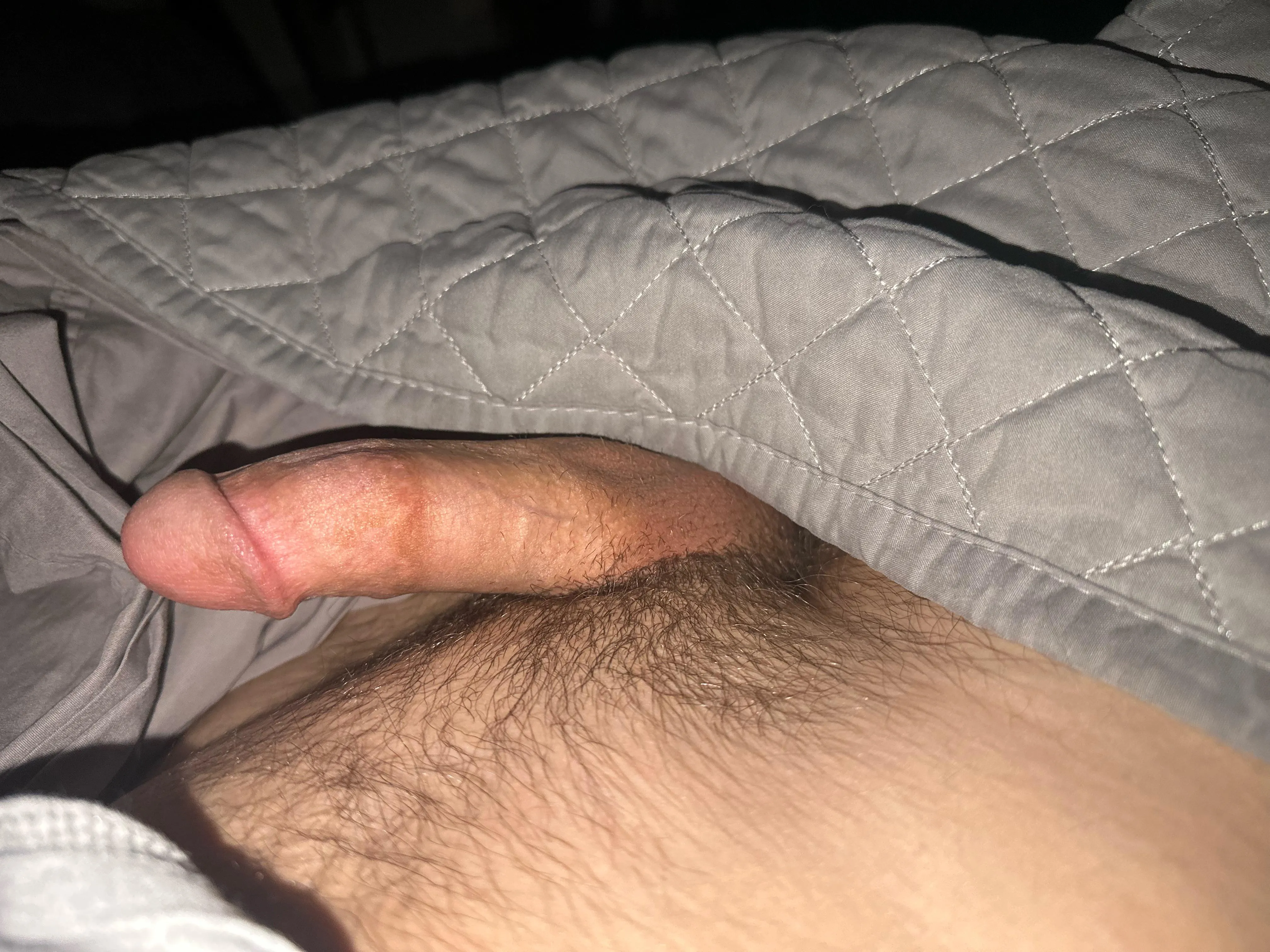 M19, repost but semi this time, ANYBODY hmu!