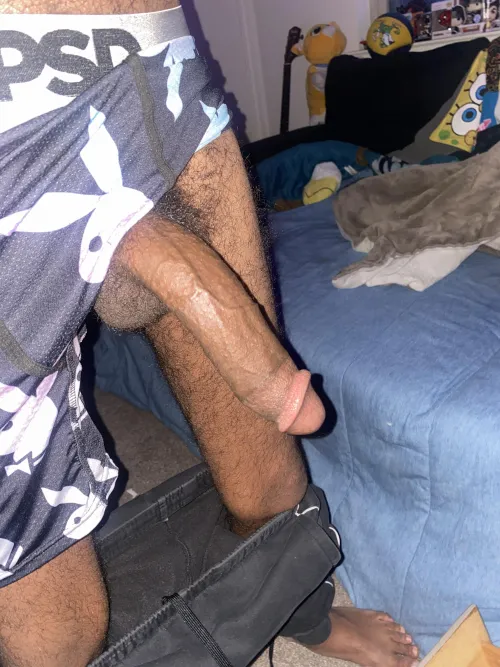 Need put to sleep by a BBC