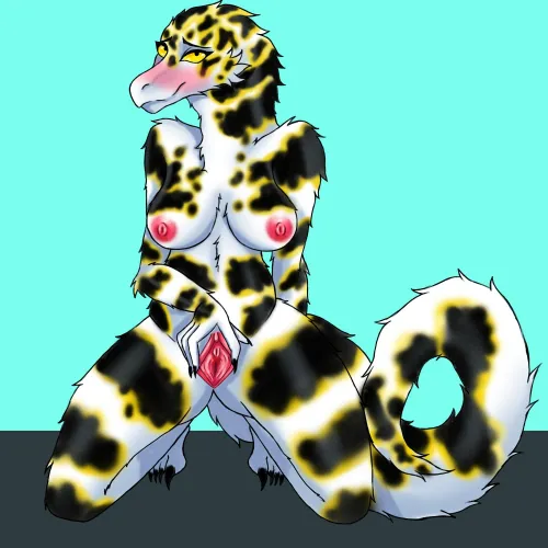 Snowflake Moray [F] (sharkyblus)