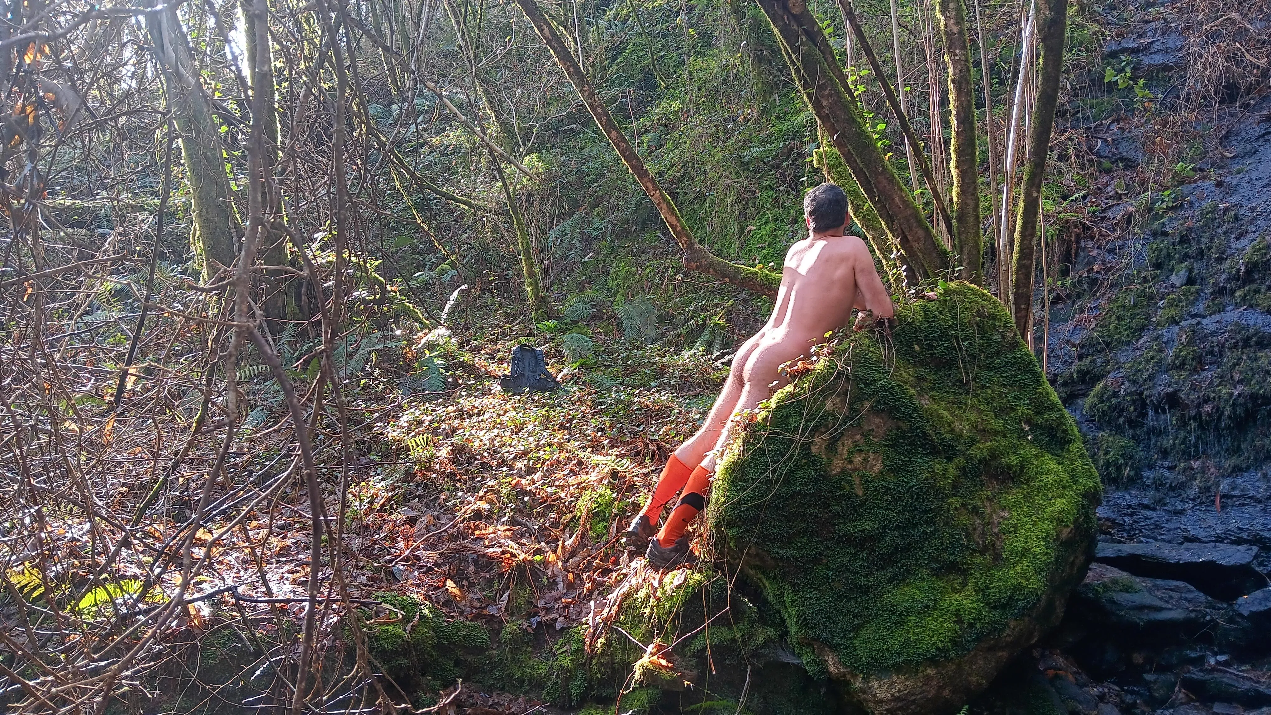 Sunbath in the forest