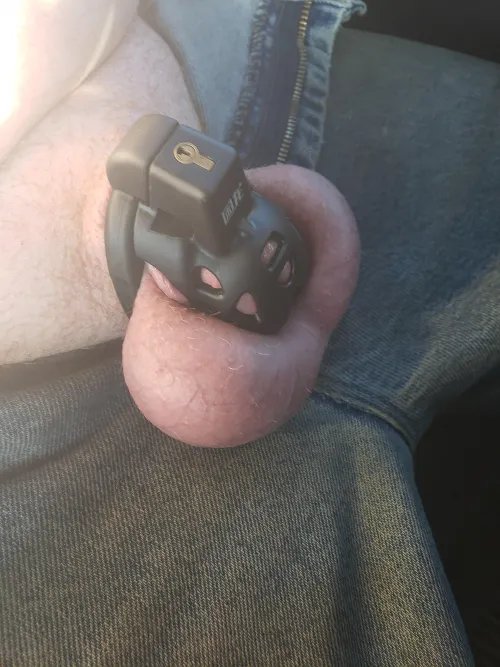 Wife has finally caged me