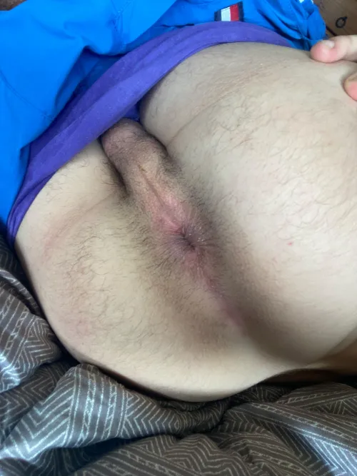 [19] i need a fat cock to breed my ass all the time 😫