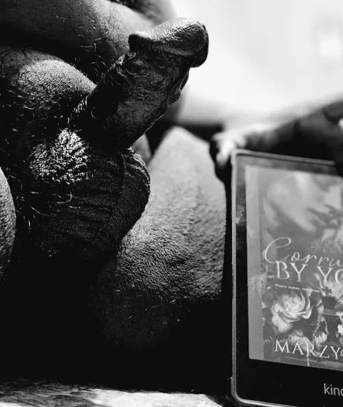 A friend recommended me the book