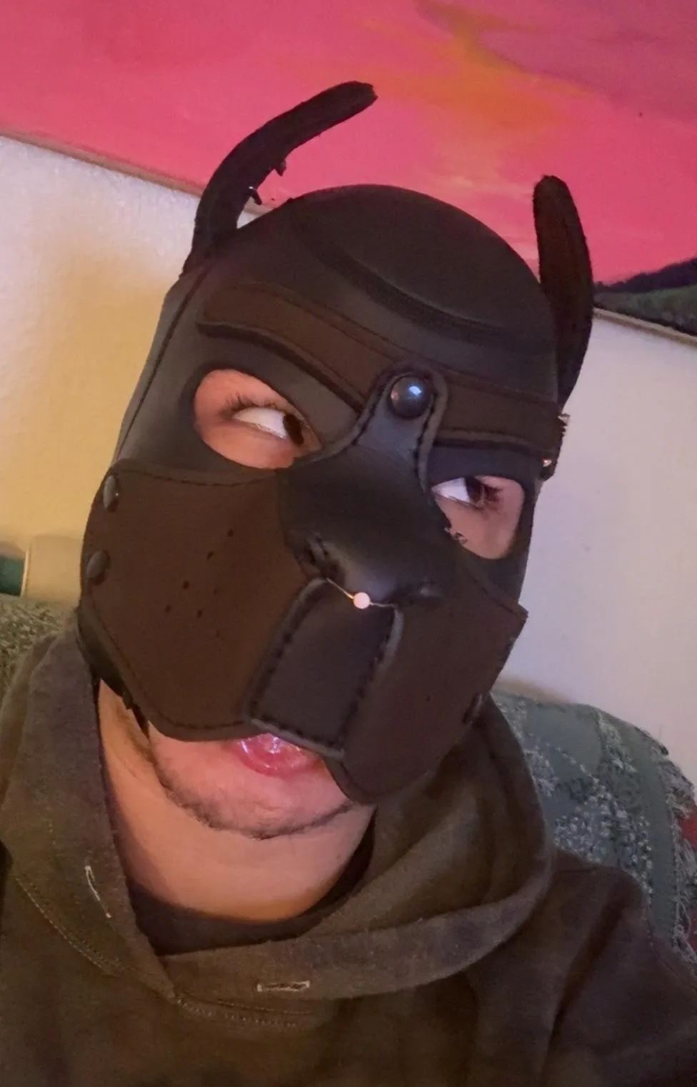 Cut out the chin of my hood and replaced it with an elastic strap! Soooo much comfier omg and soooooo easy to make out with other puppies now🥰🐶