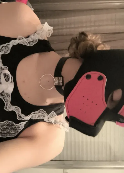 Does trans puppies get head pat too?