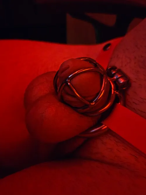 I finally made it to 7 days! Should I stay locked longer?