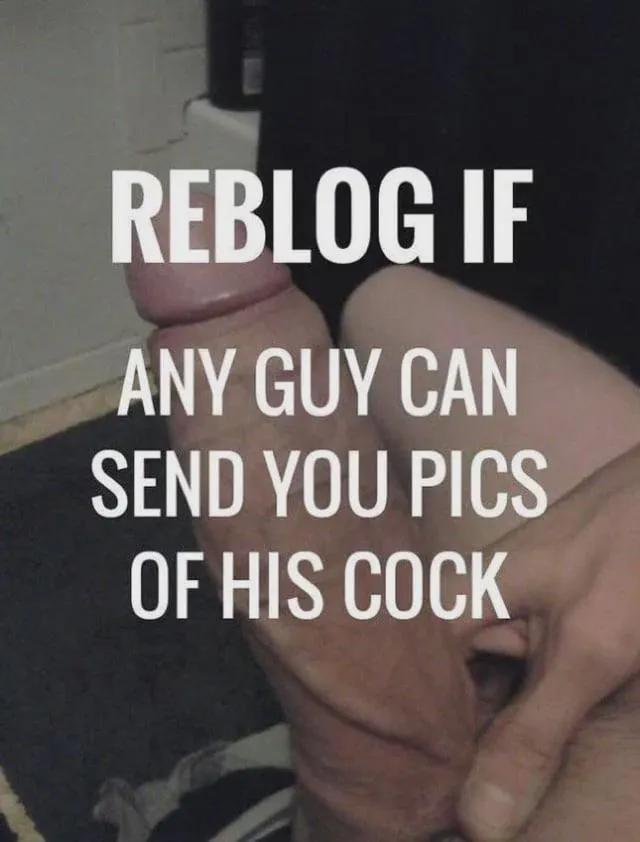 Please feed me big cocks