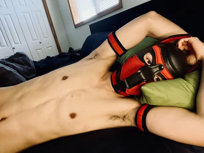 Ripe puppy today 😮‍💨