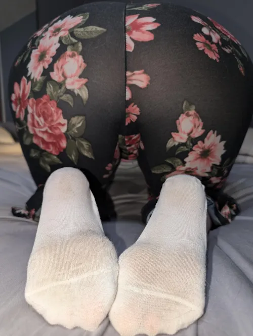 Stinky white socks [F]