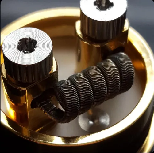 Alien Framed Staple Coil on Dotmod Petri