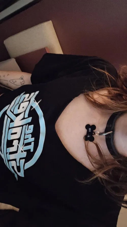 First timer with a collar