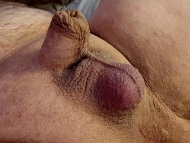 I just love to show my Micro penis