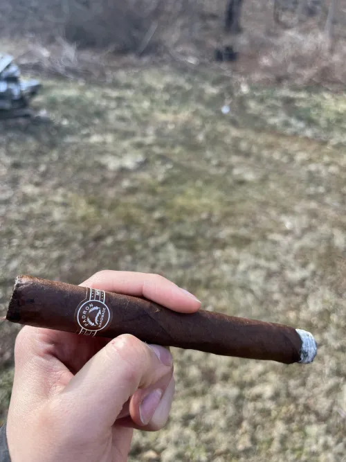 My first Padron cigar gave me a wicked nicotine buzz halfway through. Great tasting cigar just very strong with nicotine. Did anyone else have similar experience with this cigar (Padron 7000)