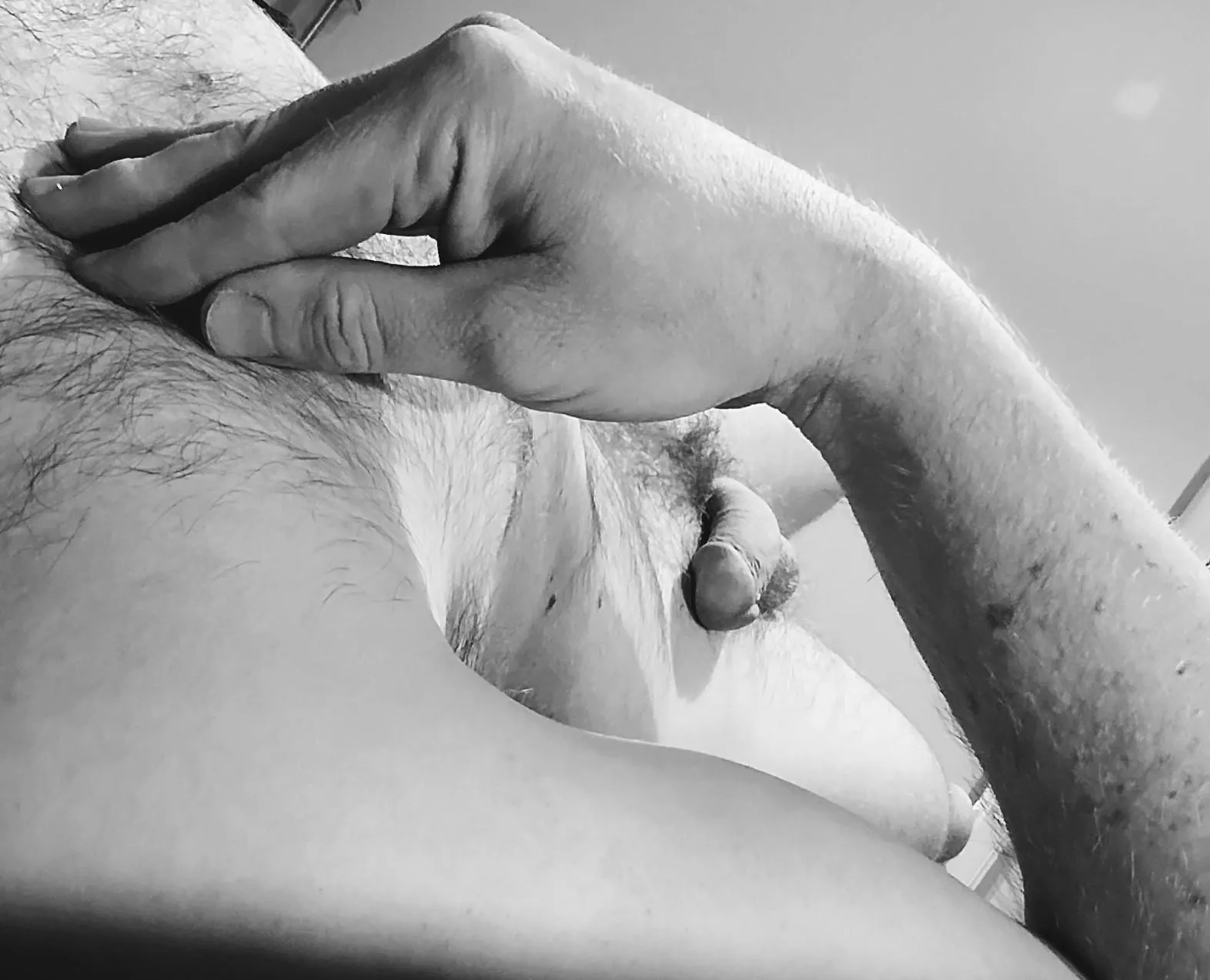 SAP #249 bedtime musings [M]