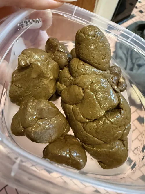 The best meal you’ll ever put in your belly!!