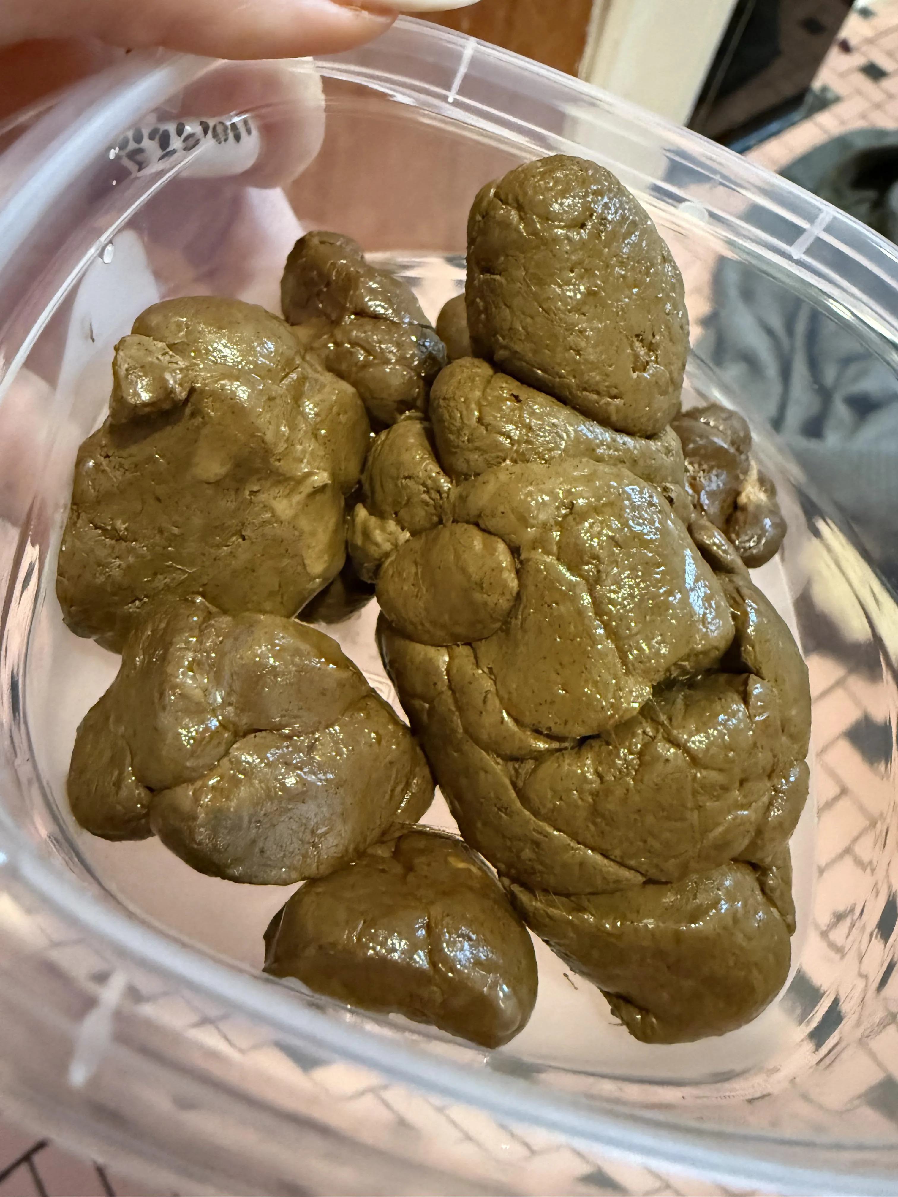 The best meal you’ll ever put in your belly!!