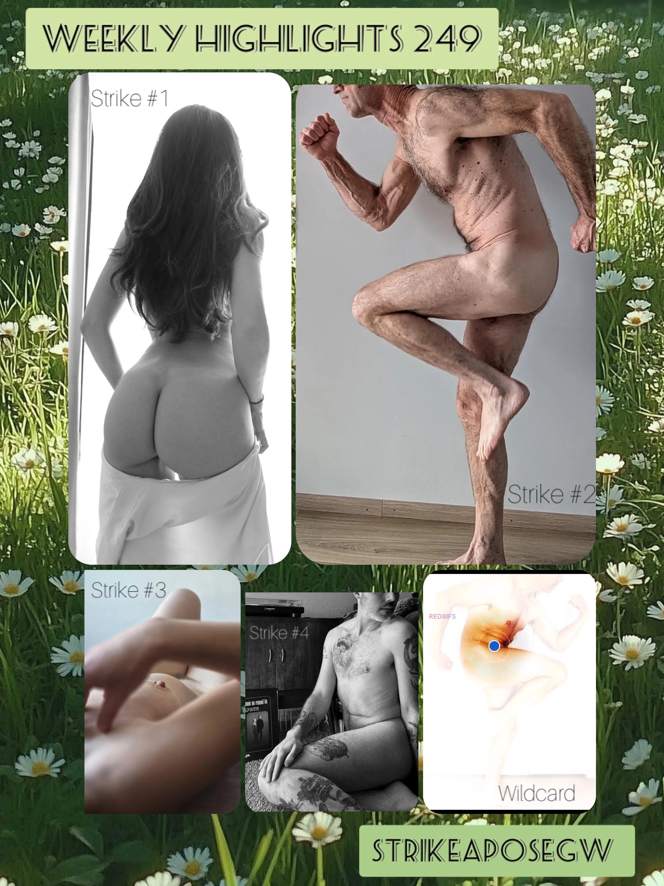 Weekly Highlights #249