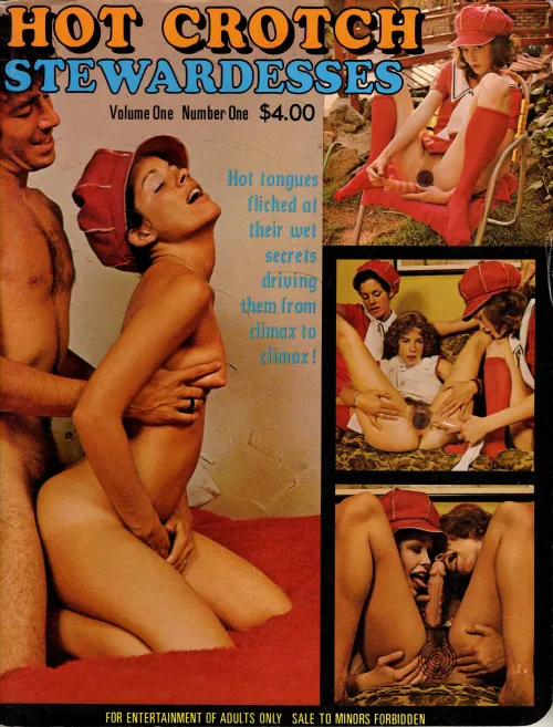 Hot Crotch Stewardesses