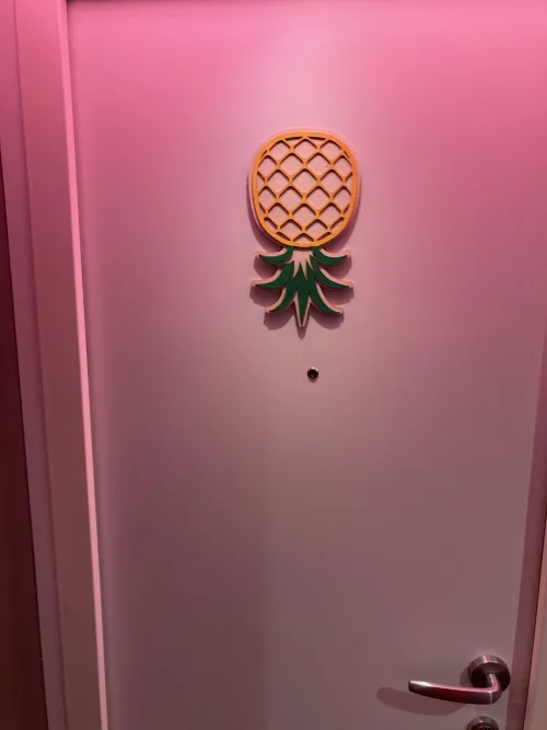 [MF4MF] Valiant Lady Now. Message us if this is your cabin!