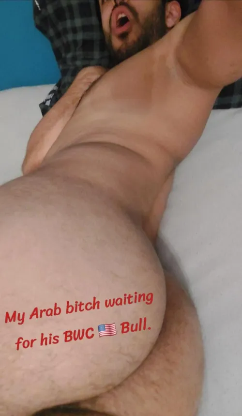 My Arab Bitch