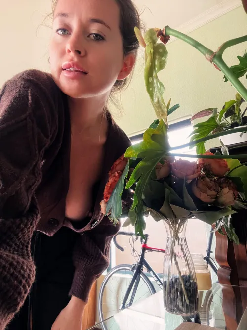 Spotted begonia or my cute nipple