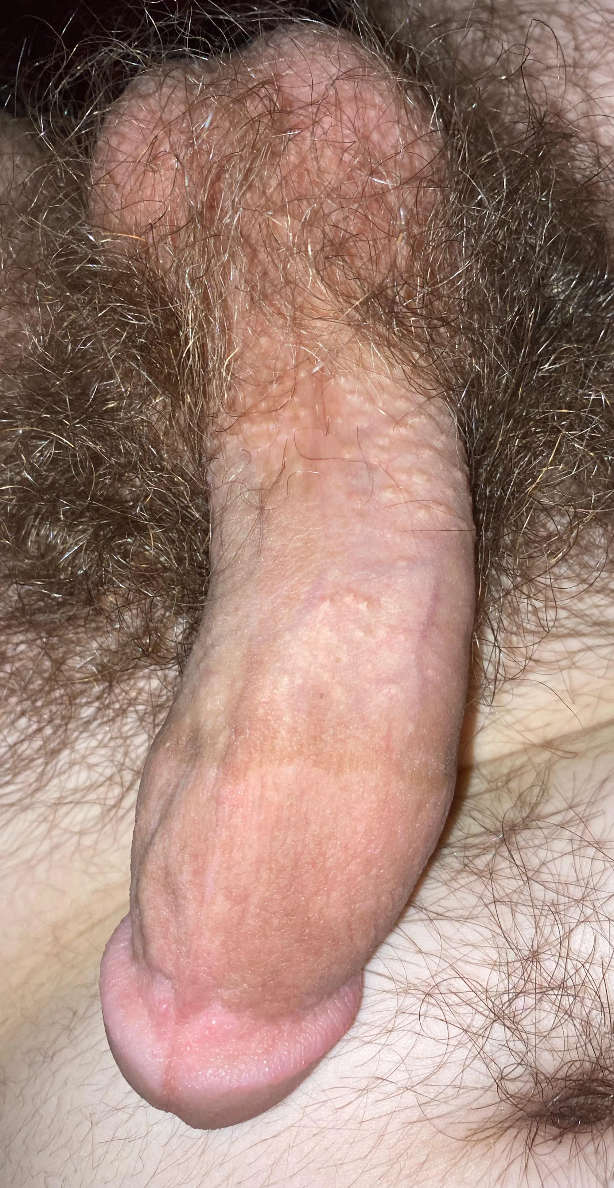 19m bi top looking for women or gay bottom men under 21 to have a relationship.