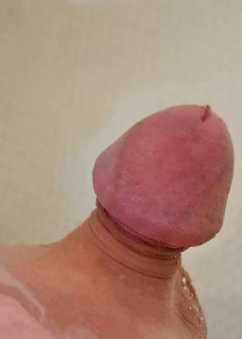 My recent morning wood