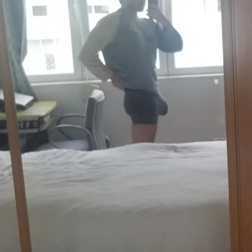 Qual será o meu fato de carnaval