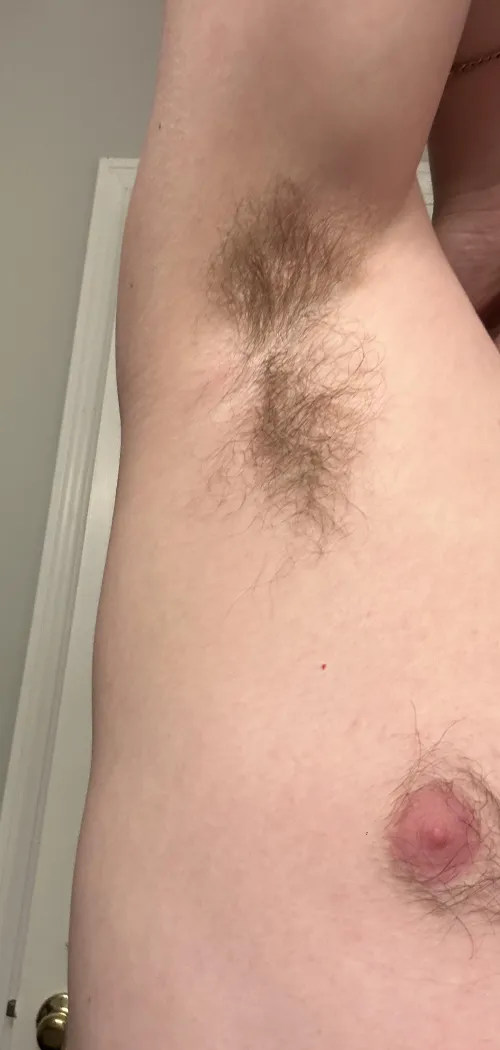 Since people liked last night’s pics