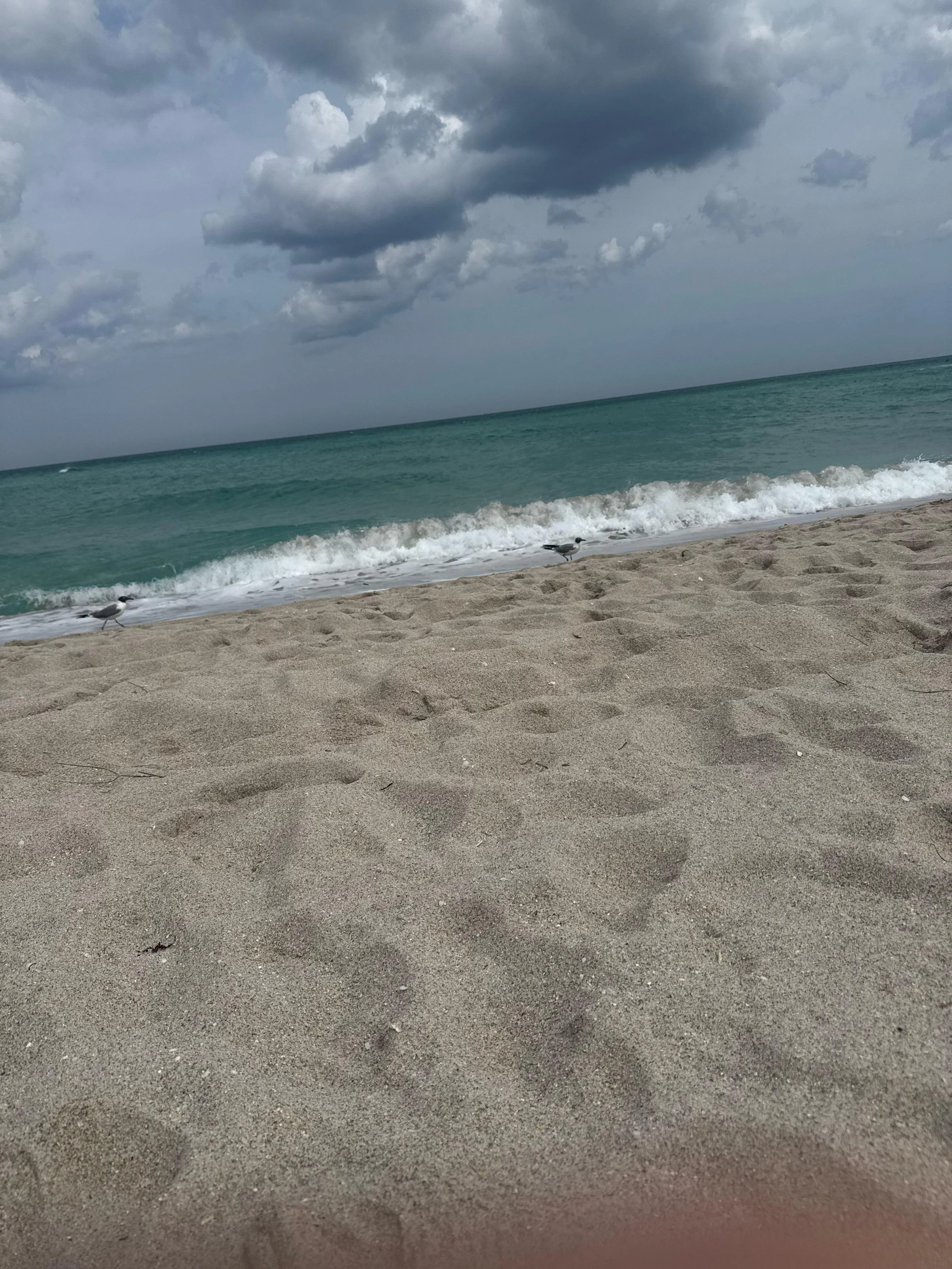 Someone want to hang couple or single lady