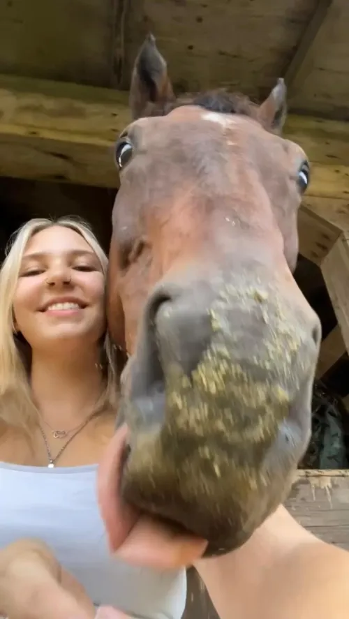 Throwback to last summer :) Outside hanging with the big homie 🐴💞