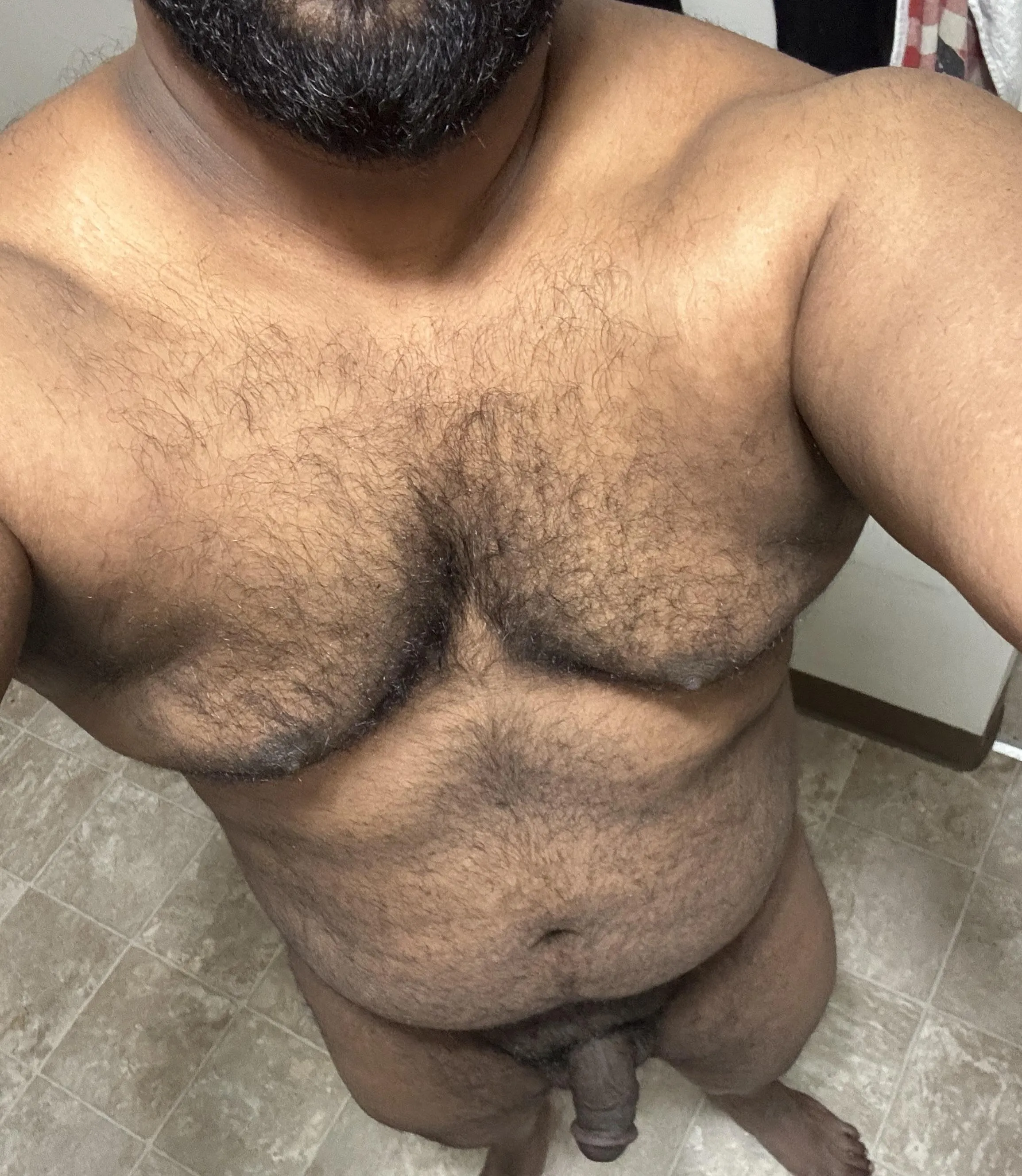 🐻(35)