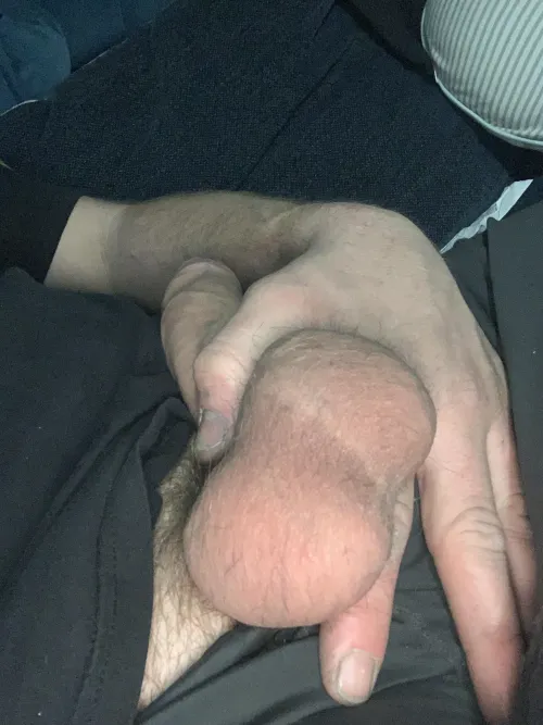 [37] Suck on my big nuts