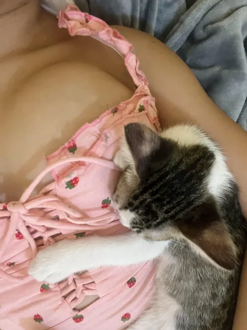 [f] u wish it was u huh?