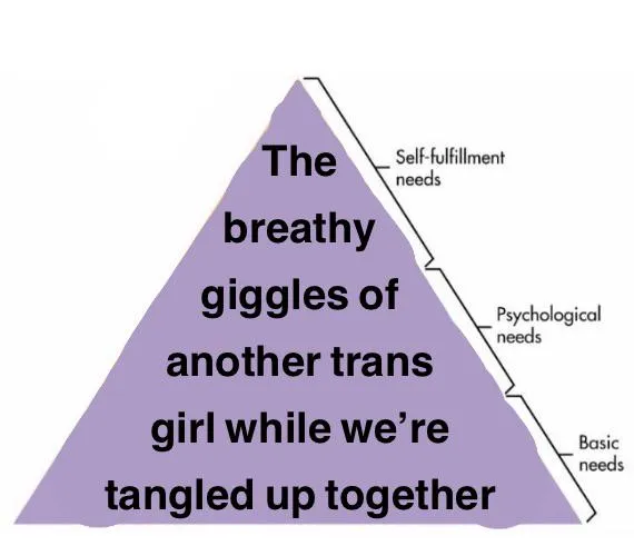 If only I wasn’t so shy…