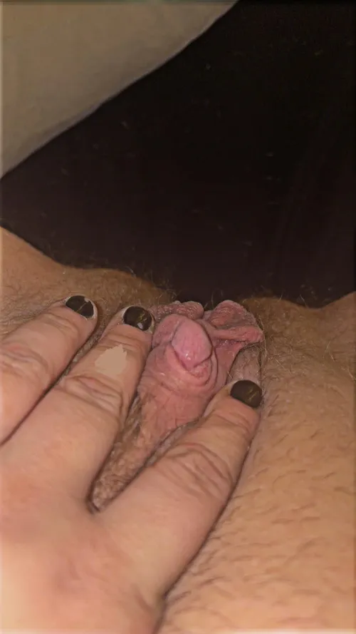 Needing head or a cock to use me