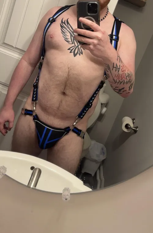 New underwear. Thoughts?