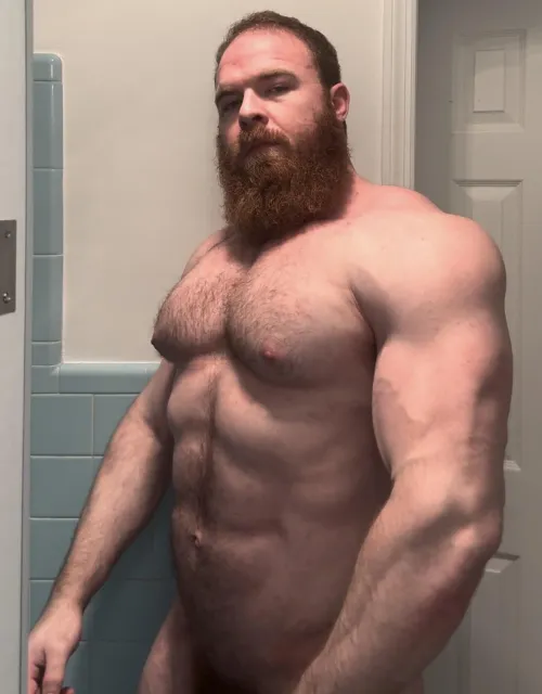 Tired beast of burden