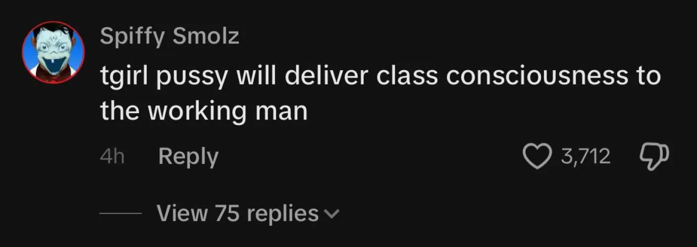 Truly one of the best Tik Tok comments I’ve ever seen 🏳️‍⚧️💃🏻😸