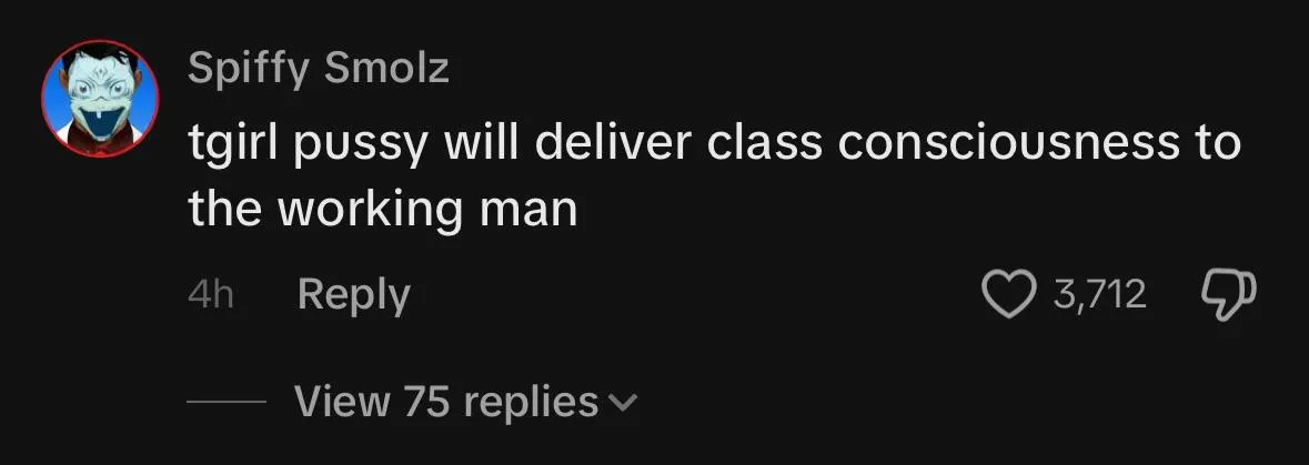 Truly one of the best Tik Tok comments I’ve ever seen 🏳️‍⚧️💃🏻😸