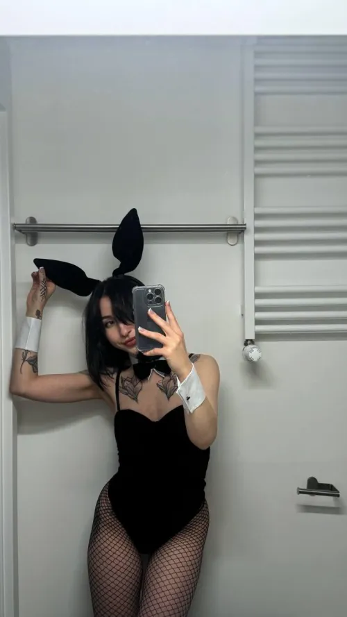 Bunny looking for an owner