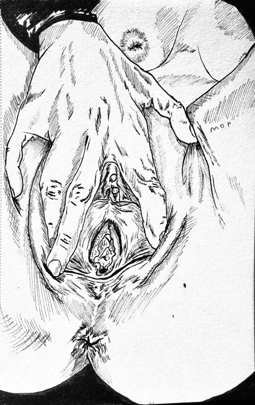 Intimate anatomy #14 by me. Reference provided by an anonymous reddit user