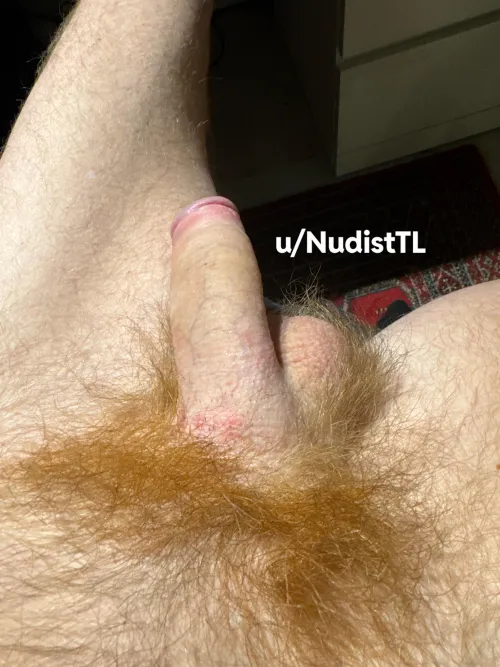 Is my long orange pubes hot or not