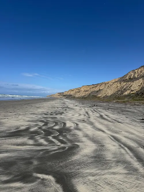 Is this the right area?