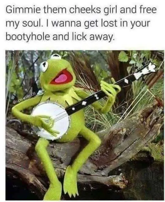 Kermit knows