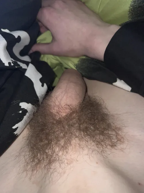 My next Update, waht u think?;)