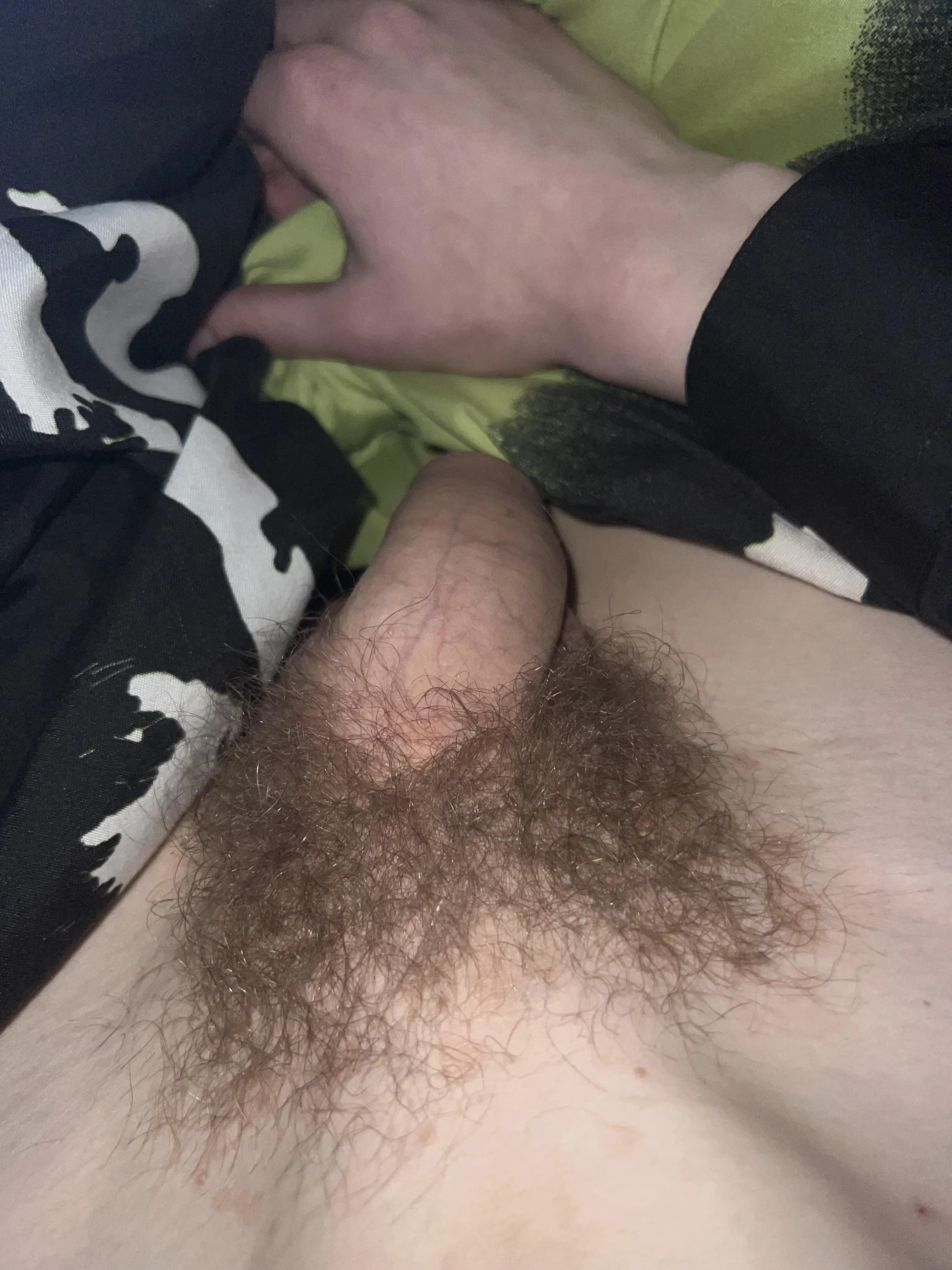 My next Update, waht u think?;)