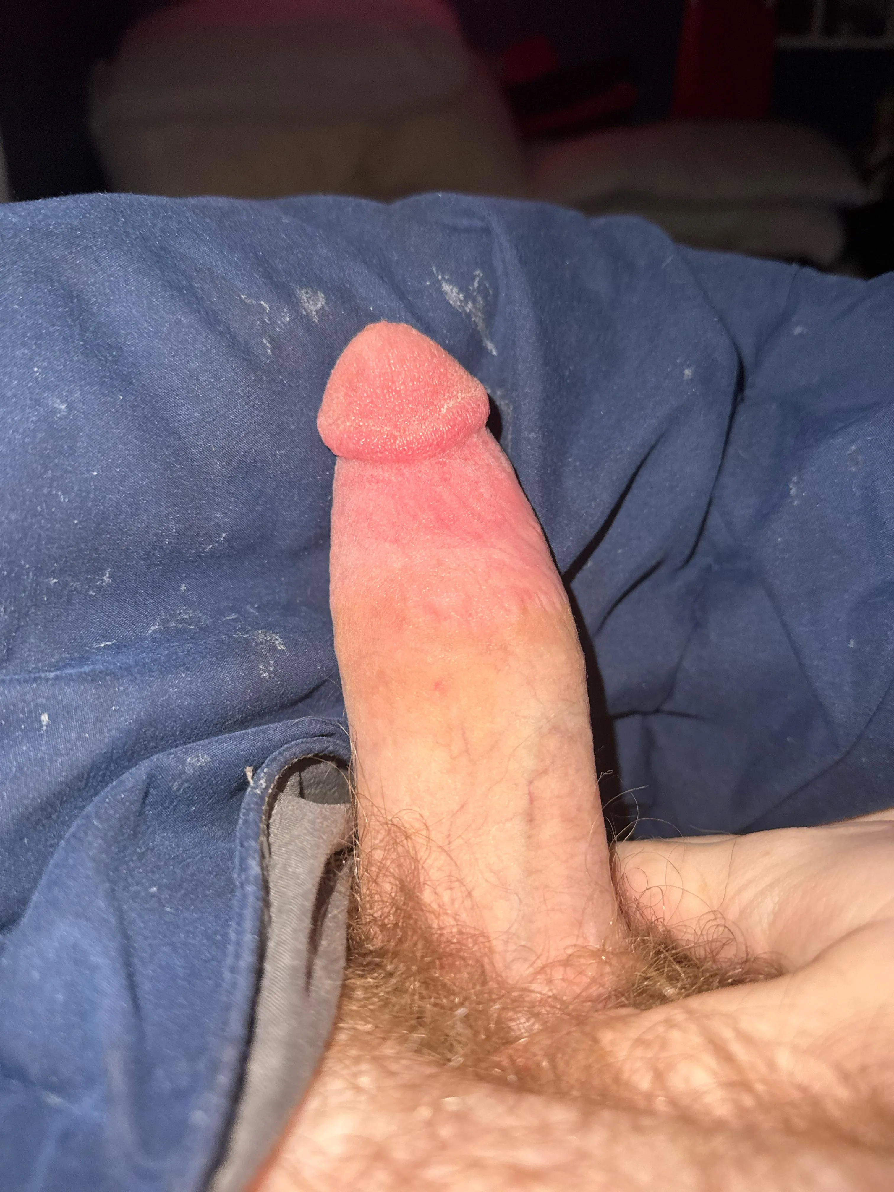 20 M4F Weston
