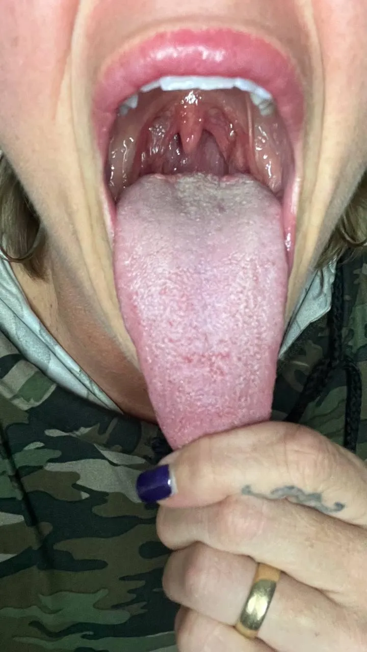 guess the length, im CM not inches